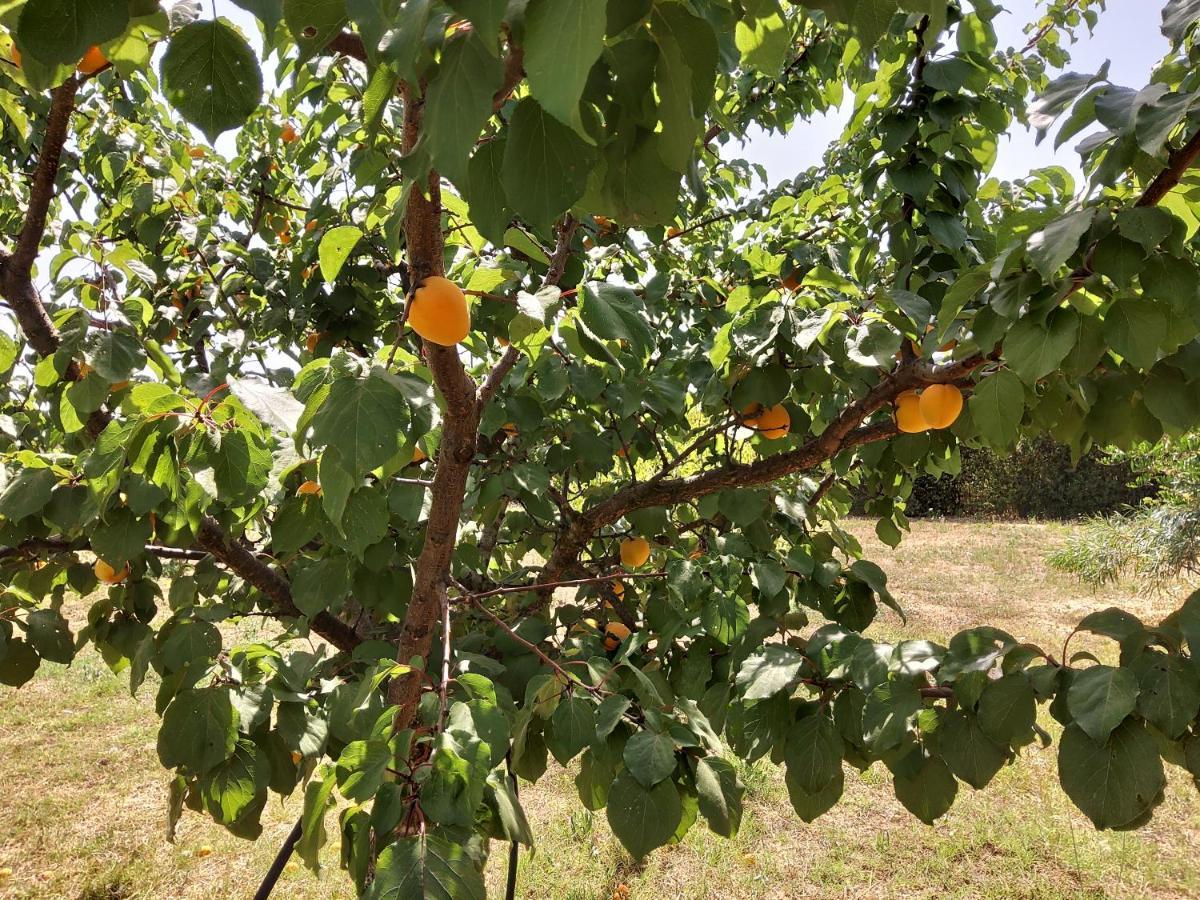 Casetta Vacanza In Campagna Aradeo Exterior foto