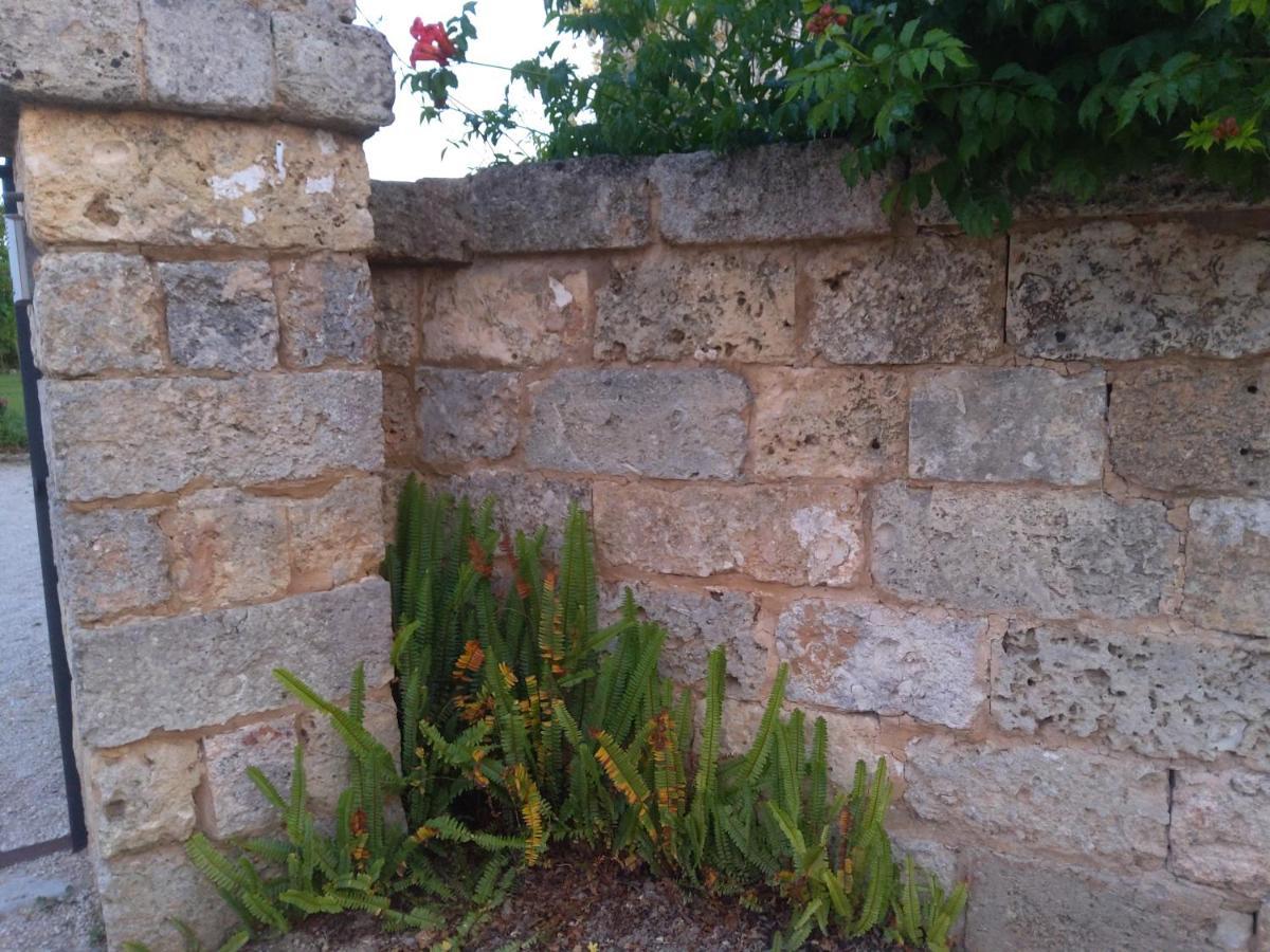 Casetta Vacanza In Campagna Aradeo Exterior foto